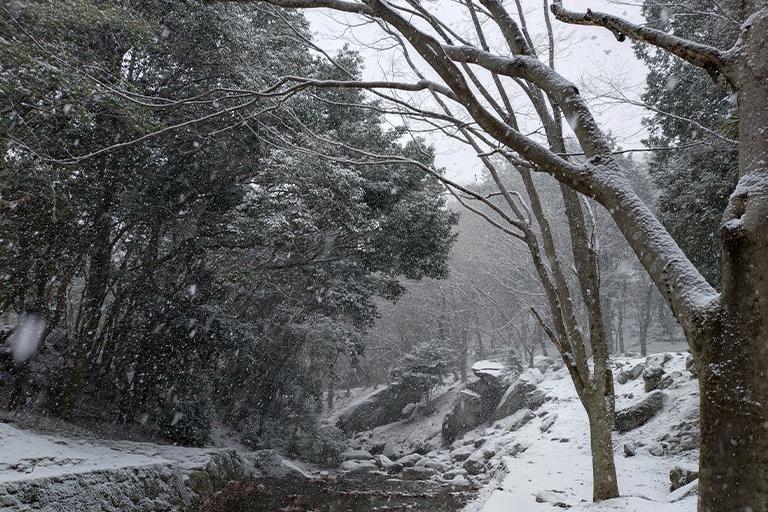 雪中キャンプ